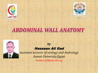 by
Hassaan Ali Gad
Assistant lecturer of urology and Andrology
Aswan University,Egypt
 