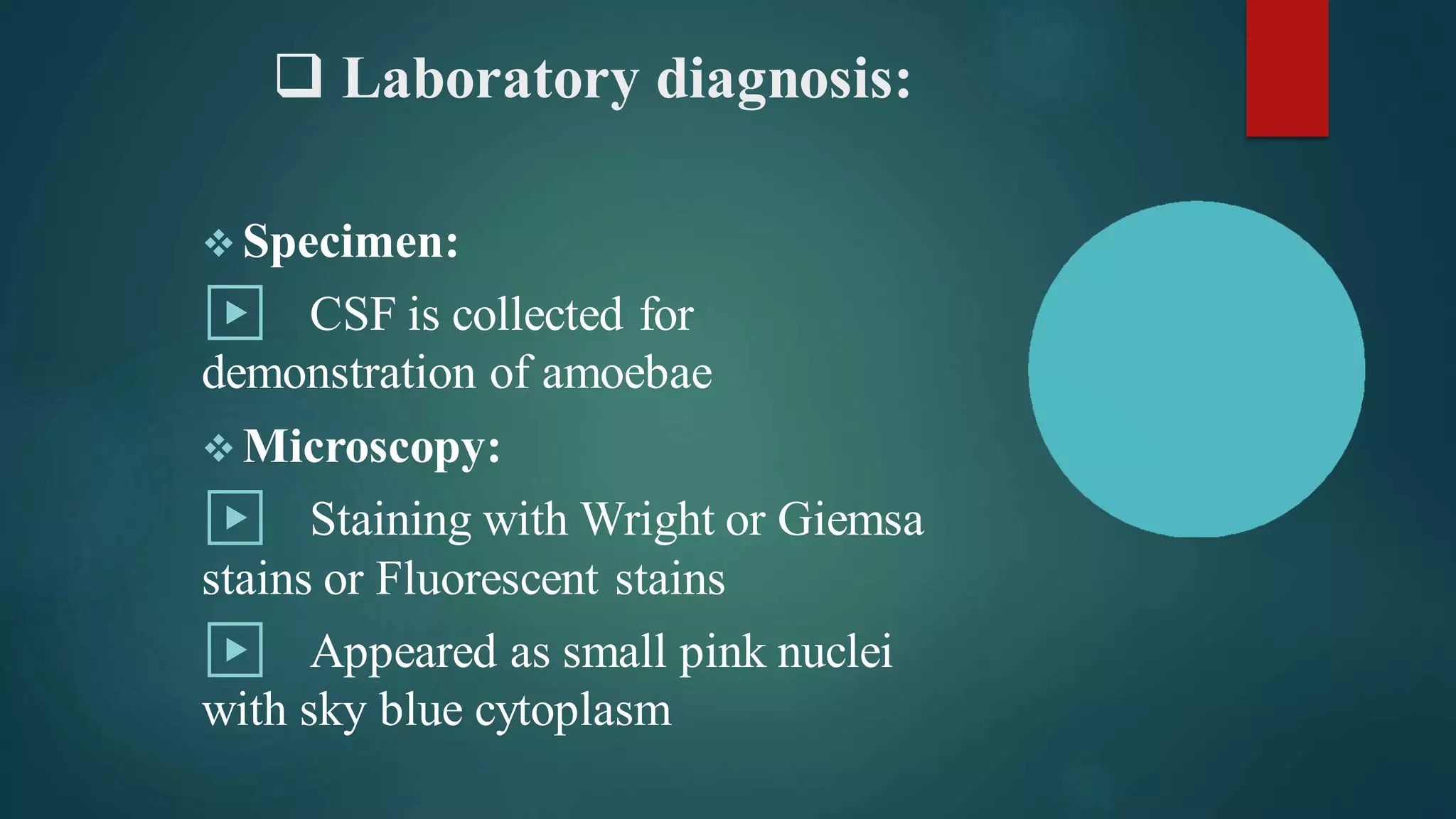 ❑ Laboratory diagnosis:
❖ Specimen:
▶ CSF is collected for
demonstration of amoebae
❖ Microscopy:
▶ Staining with Wright or Giemsa
stains or Fluorescent stains
▶ Appeared as small pink nuclei
with sky blue cytoplasm
 