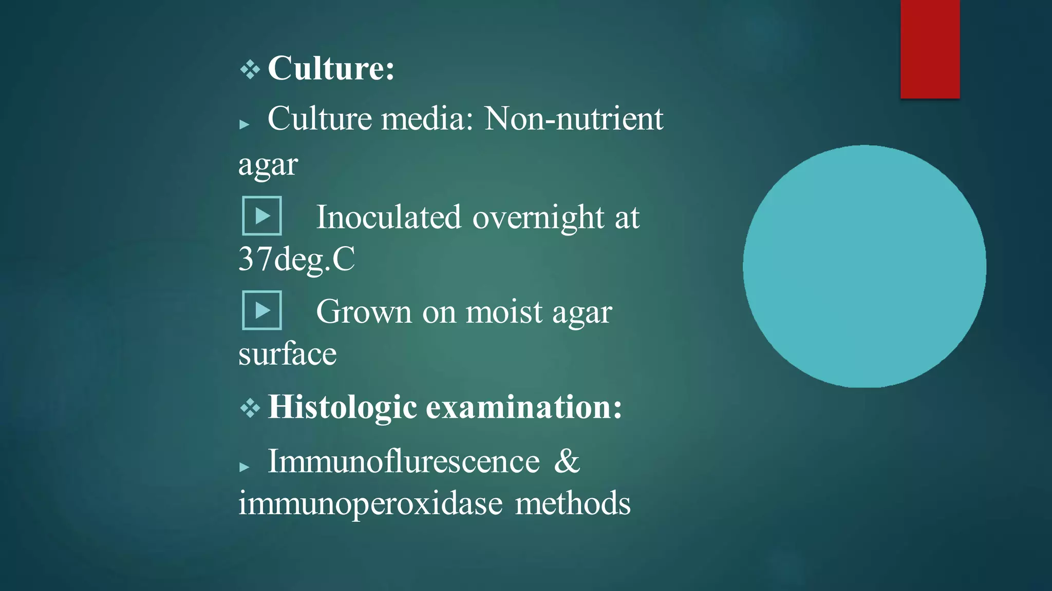 ❖ Culture:
▶ Culture media: Non-nutrient
agar
▶ Inoculated overnight at
37deg.C
▶ Grown on moist agar
surface
❖ Histologic examination:
▶ Immunoflurescence &
immunoperoxidase methods
 