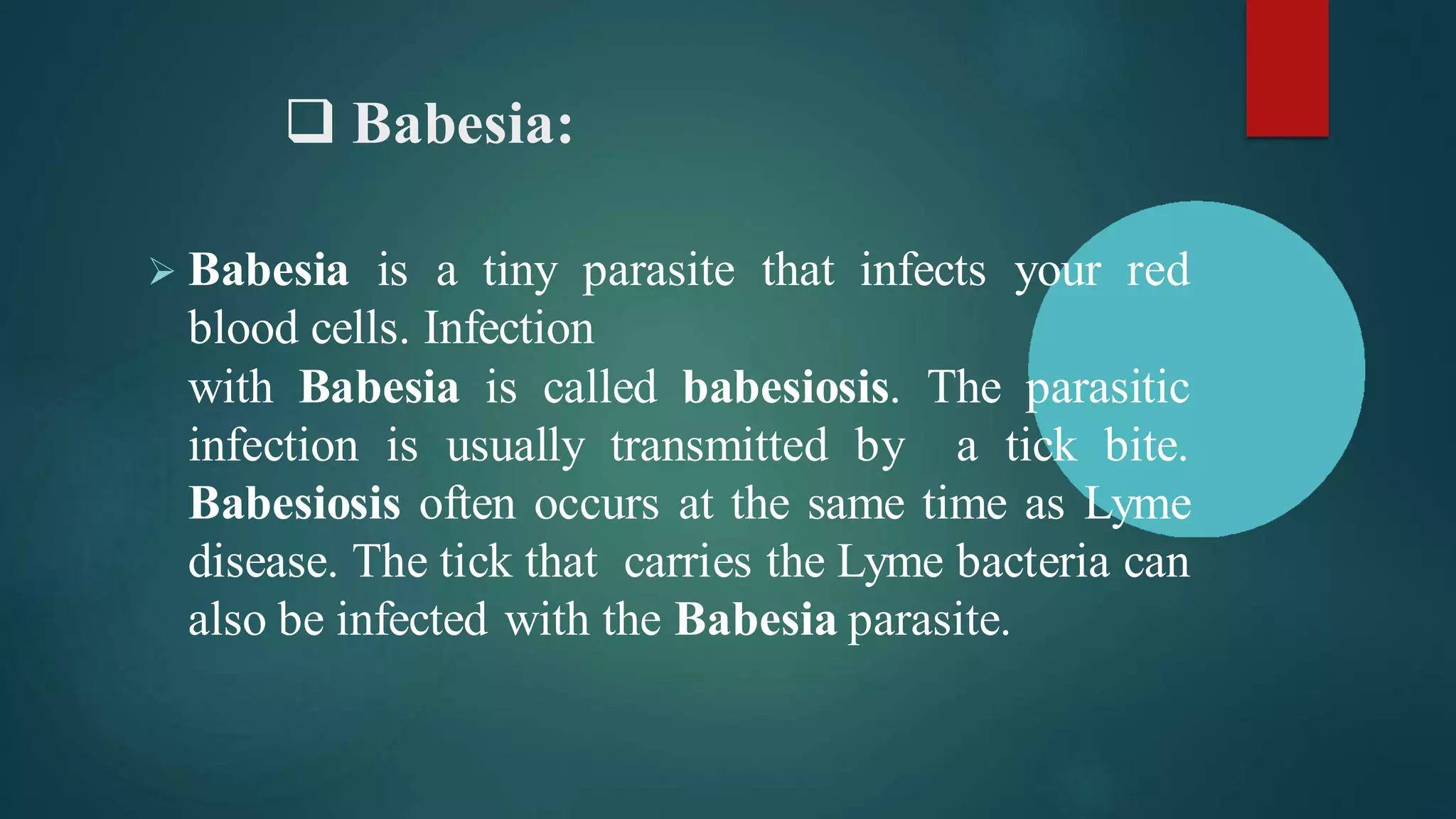 ❑ Babesia:
➢ Babesia is a tiny parasite that infects your red
blood cells. Infection
with Babesia is called babesiosis. The parasitic
infection is usually transmitted by a tick bite.
Babesiosis often occurs at the same time as Lyme
disease. The tick that carries the Lyme bacteria can
also be infected with the Babesia parasite.
 