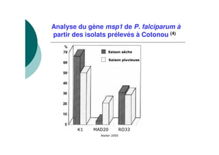 Analyse du gène msp1 de P. falciparum à
partir des isolats prélevés à Cotonou (4)