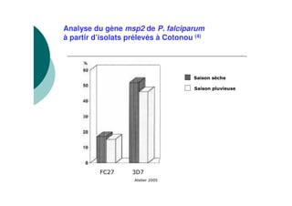 Analyse du gène msp2 de P. falciparum
à partir d’isolats prélevés à Cotonou (4)