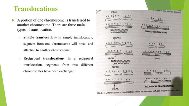 Structural and numerical variations in chromosomes and their ...