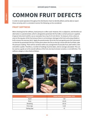 Avocado Quality Manual - Manual de calidad de aguacate hass - HAB | PDF