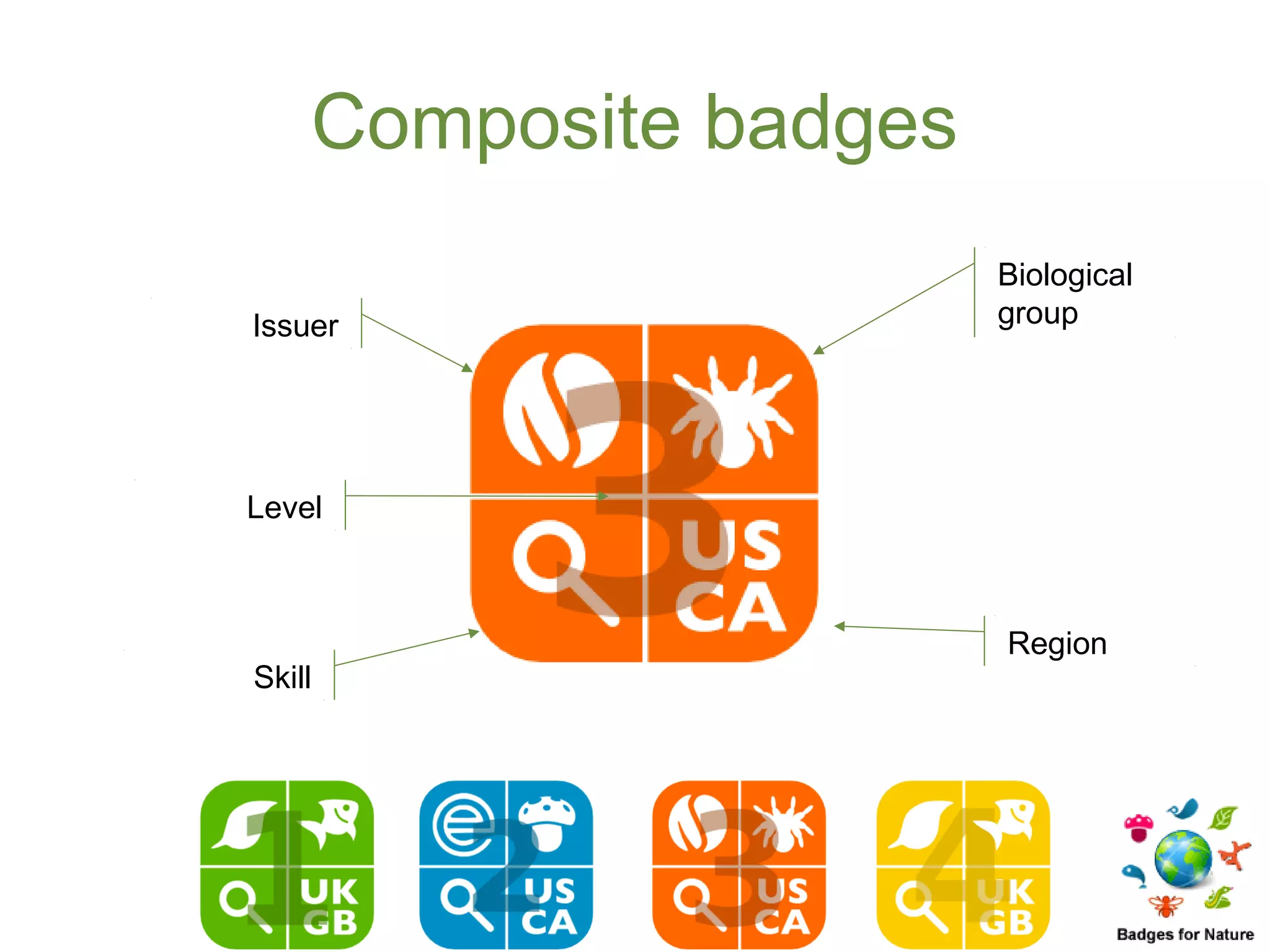 Composite badges
                       Biological
Issuer                 group




Level



                       Region
Skill
 
