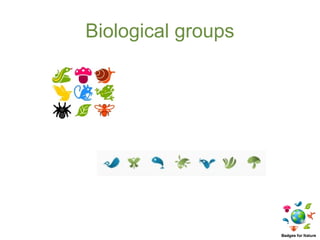 Biological groups
 