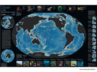 Census of Marine Life


                   http://comlmaps.org/oceanlifemap
 