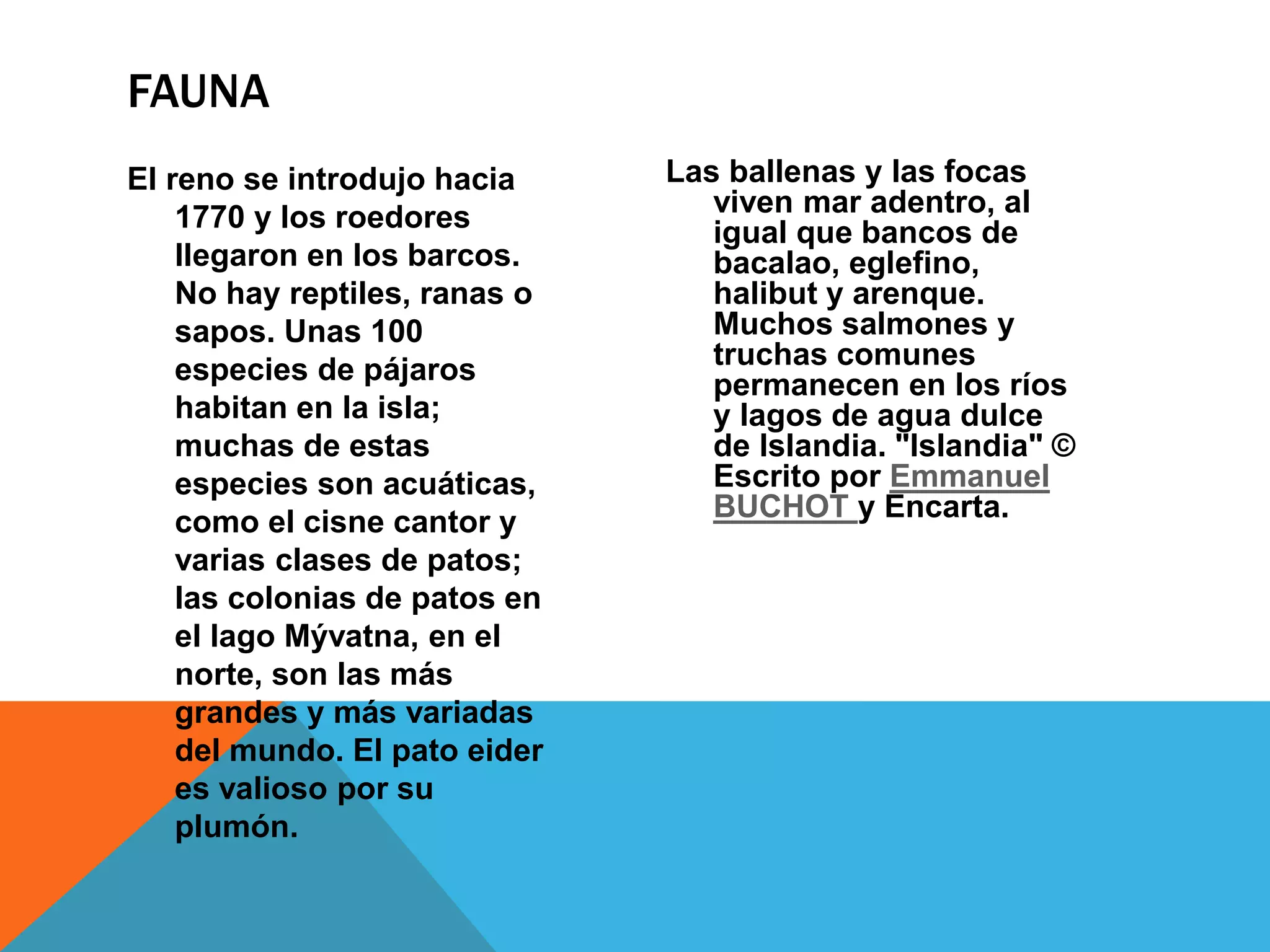 El reno se introdujo hacia
1770 y los roedores
llegaron en los barcos.
No hay reptiles, ranas o
sapos. Unas 100
especies de pájaros
habitan en la isla;
muchas de estas
especies son acuáticas,
como el cisne cantor y
varias clases de patos;
las colonias de patos en
el lago Mývatna, en el
norte, son las más
grandes y más variadas
del mundo. El pato eider
es valioso por su
plumón.
Las ballenas y las focas
viven mar adentro, al
igual que bancos de
bacalao, eglefino,
halibut y arenque.
Muchos salmones y
truchas comunes
permanecen en los ríos
y lagos de agua dulce
de Islandia. "Islandia" ©
Escrito por Emmanuel
BUCHOT y Encarta.
FAUNA
 