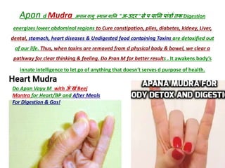 Do Apan Vayu M with ऊां खां Beej
Mantra for Heart/BP and After Meals
For Digestion & Gas!
Apan d Mudra अपान वायु स्थान यानन "अ-उदर "से प यानन पाांव़ों तक Digestion
energizes lower abdominal regions to Cure constipation, piles, diabetes, kidney, Liver,
dental, stomach, heart diseases & Undigested food containing Toxins are detoxified out
of our life. Thus, when toxins are removed from d physical body & bowel, we clear a
pathway for clear thinking & feeling. Do Pran M for better results . It awakens body’s
innate intelligence to let go of anything that doesn't serves d purpose of health.
 