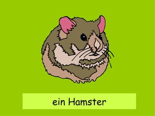 ein Hamster 