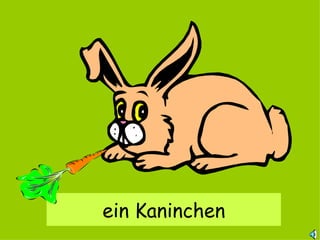 ein Kaninchen 