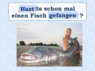 _____ du schon mal
einen Fisch __________ ?
Hast
gefangen
 