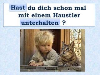 _____ du dich schon mal
mit einem Haustier
_________ ?
Hast
unterhalten
 