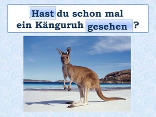 _____ du schon mal
ein Känguruh _________ ?
Hast
gesehen
 