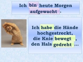 Ich ____ heute Morgen
_____________.
Ich _____ die Hände
hochgestreckt,
die Knie _________,
den Hals _________…
aufgewacht
bin
habe
bewegt
gedreht
 