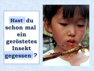 _____ du
schon mal
ein
geröstetes
Insekt
_________ ?
Hast
gegessen
 