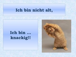Ich bin nicht alt,
Ich bin …
knackig!!
 