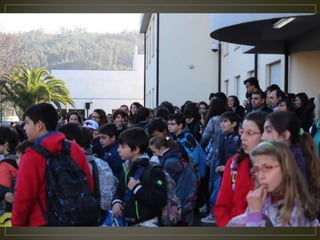 Hastear bandeira verde 2014