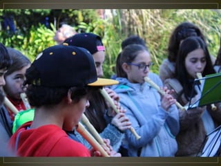 Hastear bandeira verde 2014