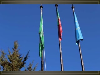 Hastear bandeira verde 2014