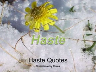 Haste Haste Quotes Slideshare by Xenia 