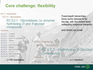Core challenge: flexibility
… (>150 members)
Fixed-depth hierarchies
force some classes to be
too big, with the lowest level
collapsing biolgoical hierarchy
and others too small
… (<1 member)
 