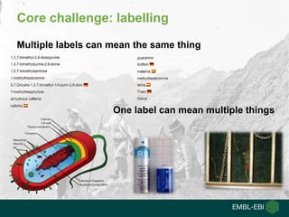 Core challenge: labelling
Multiple labels can mean the same thing
One label can mean multiple things
 