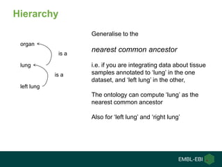 Hierarchy
left lung
lung
organ
is a
is a
Generalise to the
nearest common ancestor
i.e. if you are integrating data about tissue
samples annotated to „lung‟ in the one
dataset, and „left lung‟ in the other,
The ontology can compute „lung‟ as the
nearest common ancestor
Also for „left lung‟ and „right lung‟
 