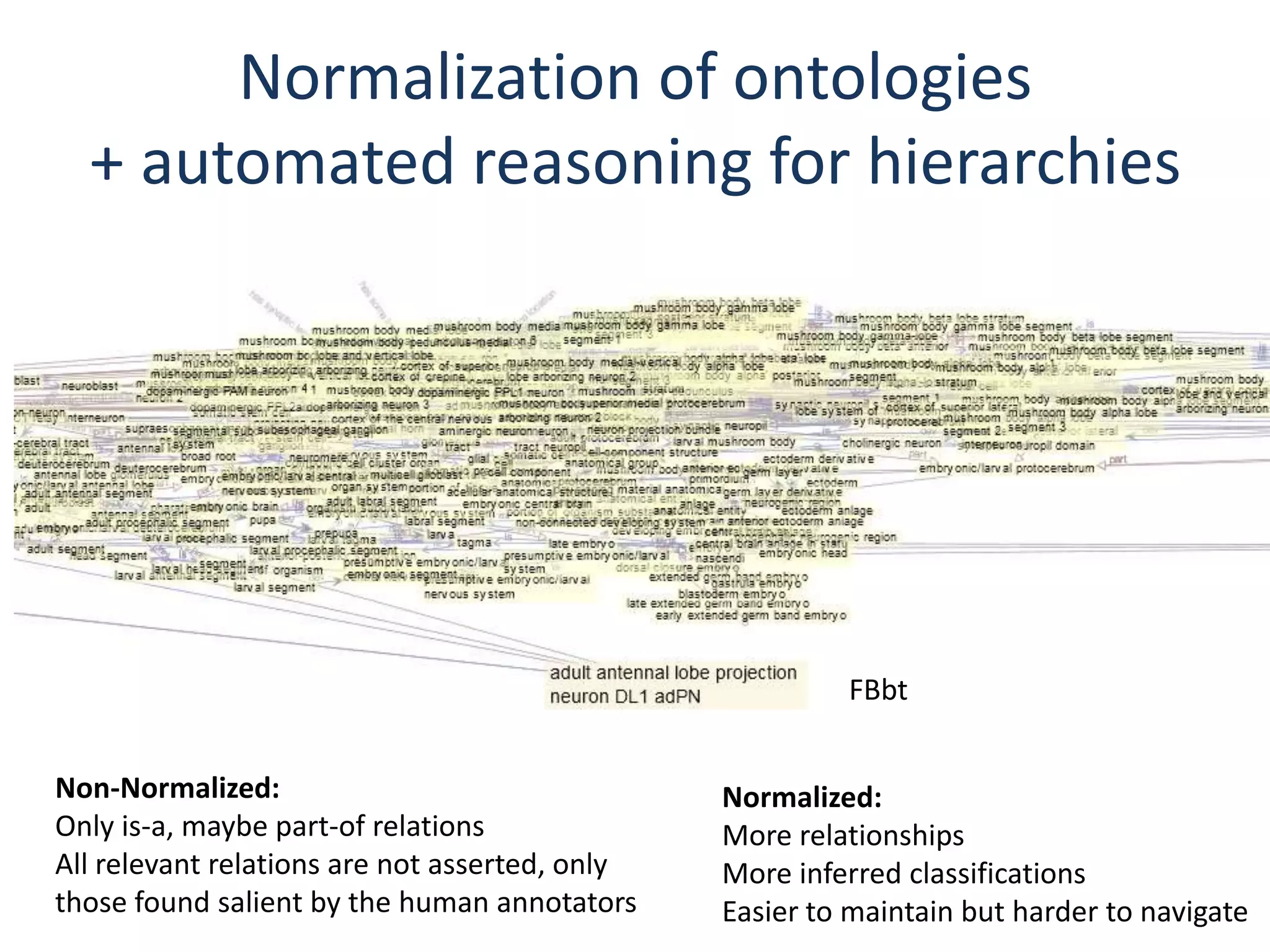 Normalization of ontologies
  + automated reasoning for hierarchies




                                                         FBbt


Non-Normalized:                                 Normalized:
Only is-a, maybe part-of relations              More relationships
All relevant relations are not asserted, only   More inferred classifications
those found salient by the human annotators     Easier to maintain but harder to navigate
 