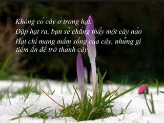 Không có cây ở trong hạt. Đập hạt ra, bạn sẽ chẳng thấy một cây nào Hạt chỉ mang mầm sống của cây, những gì tiềm ẩn để trở thành cây. 