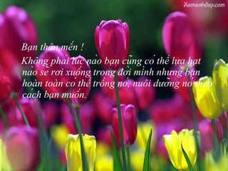 Bạn thân mến !  Không phải lúc nào bạn cũng có thể lựa hạt nào sẽ rơi xuống trong đời mình nhưng bạn hoàn toàn có thể trồng nó, nuôi dưỡng nó theo cách bạn muốn. 