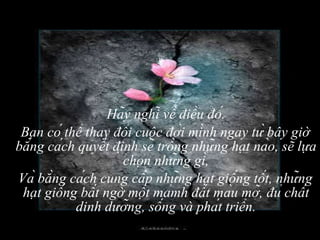 Hãy nghĩ về điều đó. Bạn có thể thay đổi cuộc đời mình ngay từ bây giờ   bằng cách quyết định sẽ trồng những hạt nào, sẽ lựa chọn những gì, Và bằng cách cung cấp những hạt giống tốt, những hạt giống bất ngờ một mảmh đất màu mỡ, đủ chất dinh dưỡng, sống và phát triển. 