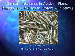 Salmon Hatcheries in Alaska – Plans,
Permits, and Policies to Protect Wild Stocks




                   Steve McGee
           Alaska Dept of Fish and Game
 