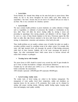 s15
• Larval diets
Newly hatched, live Artemia brine shrimp are the main food given to prawn larvae. Brine
shrimp are fed to the larvae throughout the larval culture cycle. Brine shrimp are
aquaculture’s ‘fast food’, because they do not need to be cultured until you are ready to
use them. This is very convenient for a hatchery operator.
• Larval health
The most common health problems in prawn hatcheries are surface infections of fungus
such as Lagenidium, or settlement of protozoans like Epistylis or Zoothamnion on the
larva shell. These will affect the larva’s feeding ability by slowing it down and
preventing its appendages from moving properly, and ultimately it will die. Fungus will
be seen as a mass of fuzzy threads (hyphae) on the larva. Protozoans appear like little
buds on stalks (like tulip flowers) attached to the larva shell. Some will be seen to be
moving, in characteristic retractions and extensions of the bud by the stalk.
These health problems are not usually a primary cause of trouble, but rather are usually a
secondary problem caused by something wrong in the culture system. For example, dirty
water with high bacterial levels will encourage the growth of filter-feeding protozoans
which feed on these bacteria. Similarly, dirt in the water encourages the growth of
fungus. Any other environmental factor which causes larvae to become stressed will
reduce their resistance to pathogens.
• Treating larvae with formalin
The prawn larvae in LRTs should be treated every second day with 30 ppm formalin for
up to 1 hour, to reduce the incidence of fungus and protozoan infestations.
Formalin may be sold almost pure (100%) or as a 40% solution. Read the label on the
bottle to determine the concentration.
100% formalin represents 1,000,000 ppm 40% represents 400,000 ppm.
• Larval rearing: routine tasks
The routine tasks of larval rearing are critical in the hatchery management. The
management of water quality, larval food, temperature, salinity and cleanliness are
important factors for the success of PL production. Best results can be obtained by
starting with proper stocking density, following suitable feeding regime, keeping tanks
clean and managing water quality carefully.
 