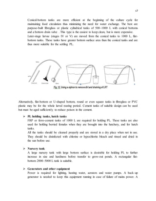 s7
Conical-bottom tanks are more efficient at the beginning of the culture cycle for
maintaining food circulation thus minimizing the need for water exchange. The best are
purpose-built fibreglass or plastic cylindrical tanks of 500–1000 L with conical bottoms
and a bottom drain valve . This type is the easiest to keep clean, but is more expensive.
Later-stage larvae (stages IV or V) are moved from the conical tanks to 1000 L, flat-
bottom tanks. These tanks have greater bottom surface area than the conical tanks and are
thus more suitable for the settling PL.
Alternatively, flat-bottom or U-shaped bottom, round or even square tanks in fibreglass or PVC
plastic may be for the whole larval rearing period. Cement tanks of suitable design can be used
but must be aged sufficiently to reduce poison in the cement.
 PL holding tanks, hatch tanks
FRP or ferro-cement tanks of 1000 L are required for holding PL. These tanks are also
used for holding berried females when they are brought into the hatchery, and for hatch
tanks.
All the tanks should be cleaned properly and are stored in a dry place when not in use.
They should be disinfected with chlorine or hypochlorite bleach and rinsed and dried in
the sun before use.
 Nursery tank
A large nursery tank with large bottom surface is desirable for holding PL to further
increase in size and hardiness before transfer to grow-out ponds. A rectangular flat-
bottom 2000–5000 L tank is suitable.
 Generators and other equipment
Power is required for lighting, heating water, aerators and water pumps. A back-up
generator is needed to keep this equipment running in case of failure of mains power. A
 