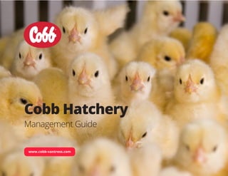 www.cobb-vantress.com
Cobb Hatchery
Management Guide
 