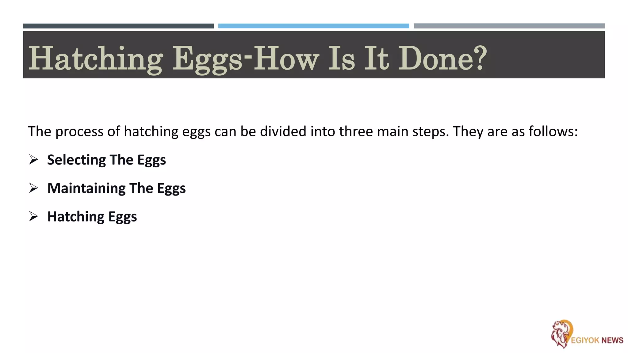 Hatchery Poultry Farming | PPTX