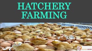 HATCHERY
FARMING
 