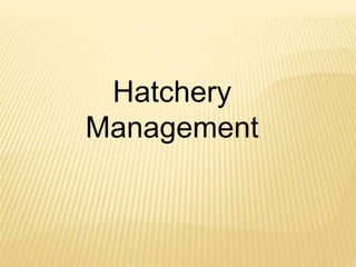 Hatchery
Management
 