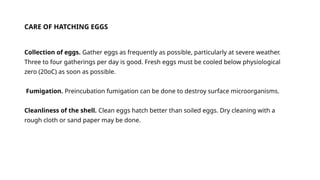 CARE OF HATCHING EGGS
Collection of eggs. Gather eggs as frequently as possible, particularly at severe weather.
Three to four gatherings per day is good. Fresh eggs must be cooled below physiological
zero (20oC) as soon as possible.
Fumigation. Preincubation fumigation can be done to destroy surface microorganisms.
Cleanliness of the shell. Clean eggs hatch better than soiled eggs. Dry cleaning with a
rough cloth or sand paper may be done.
 