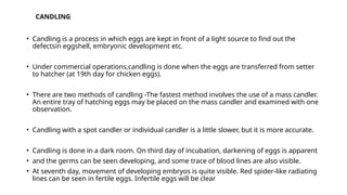 CANDLING
• Candling is a process in which eggs are kept in front of a light source to find out the
defectsin eggshell, embryonic development etc.
• Under commercial operations,candling is done when the eggs are transferred from setter
to hatcher (at 19th day for chicken eggs).
• There are two methods of candling -The fastest method involves the use of a mass candler.
An entire tray of hatching eggs may be placed on the mass candler and examined with one
observation.
• Candling with a spot candler or individual candler is a little slower, but it is more accurate.
• Candling is done in a dark room. On third day of incubation, darkening of eggs is apparent
• and the germs can be seen developing, and some trace of blood lines are also visible.
• At seventh day, movement of developing embryos is quite visible. Red spider-like radiating
lines can be seen in fertile eggs. Infertile eggs will be clear
 