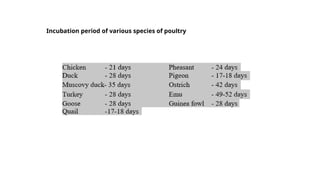 Incubation period of various species of poultry
 