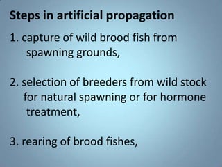 Hatchery management artificial propagation | PPT