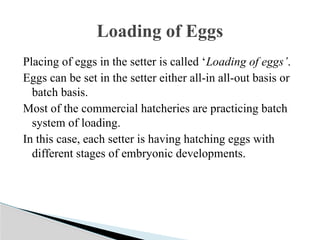 Hatchery Management for poultry LPM 608.pptx