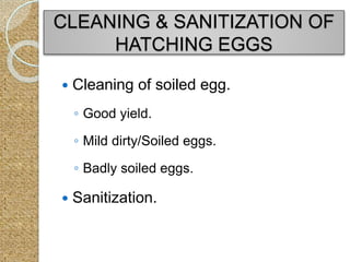 CLEANING & SANITIZATION OF
HATCHING EGGS
 Cleaning of soiled egg.
◦ Good yield.
◦ Mild dirty/Soiled eggs.
◦ Badly soiled eggs.
 Sanitization.
 