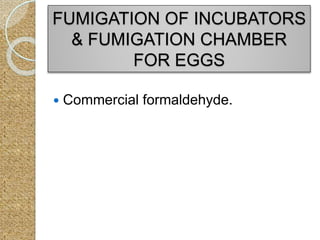 FUMIGATION OF INCUBATORS
& FUMIGATION CHAMBER
FOR EGGS
 Commercial formaldehyde.
 