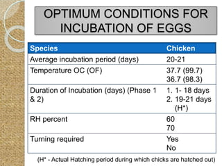 Species Chicken
Average incubation period (days) 20-21
Temperature OC (OF) 37.7 (99.7)
36.7 (98.3)
Duration of Incubation (days) (Phase 1
& 2)
1. 1- 18 days
2. 19-21 days
(H*)
RH percent 60
70
Turning required Yes
No
OPTIMUM CONDITIONS FOR
INCUBATION OF EGGS
(H* - Actual Hatching period during which chicks are hatched out)
 