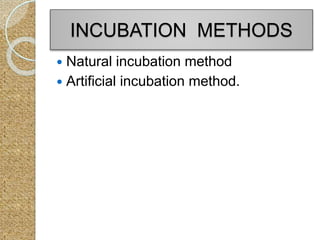 INCUBATION METHODS
 Natural incubation method
 Artificial incubation method.
 