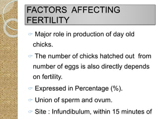 FACTORS AFFECTING
FERTILITY
 Major role in production of day old
chicks.
 The number of chicks hatched out from
number of eggs is also directly depends
on fertility.
 Expressed in Percentage (%).
 Union of sperm and ovum.
 Site : Infundibulum, within 15 minutes of
 