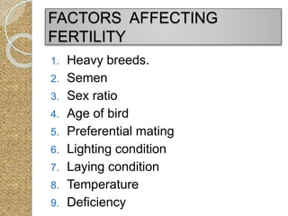 1. Heavy breeds.
2. Semen
3. Sex ratio
4. Age of bird
5. Preferential mating
6. Lighting condition
7. Laying condition
8. Temperature
9. Deficiency
FACTORS AFFECTING
FERTILITY
 